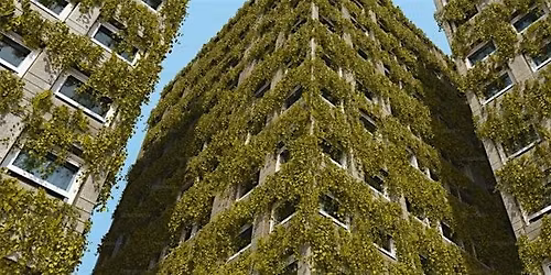 The Nature of Building: Biodiversity & the Built Environment
