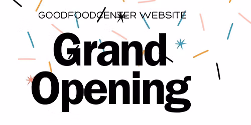 website opening