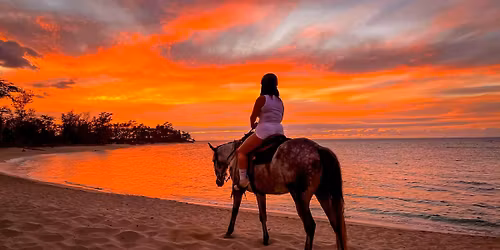 Lahaina: Maui Mountain & Ocean on Horseback - Daily