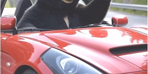 Estes Valley Cars and Coffee