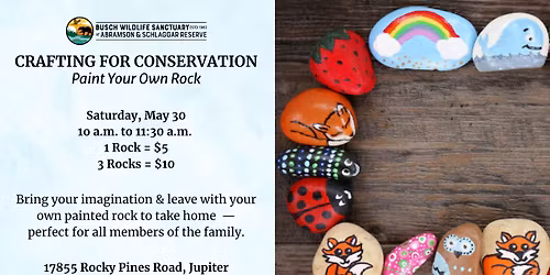 Crafting for Conservation: Paint Your Own Rock