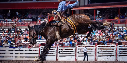 Cheyenne Frontier - Rodeo