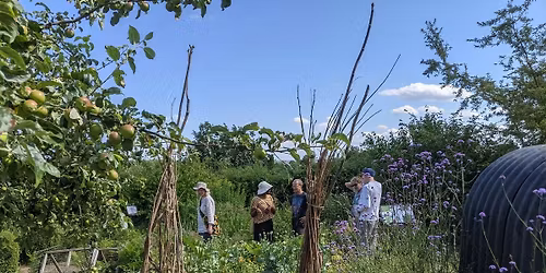 Full day Permaculture workshop
