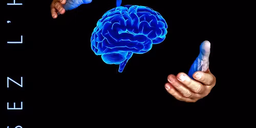 Voyage dans l'irr\u00e9el - Franck Nouzi\u00e8s