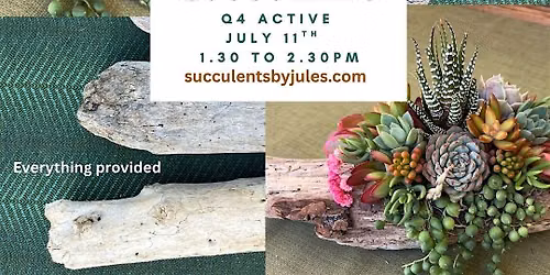 Driftwood & Succulents