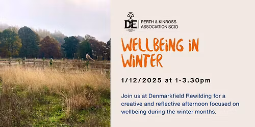 Wellbeing in Winter at Rewilding Denmarkfield