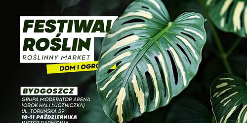 Festiwal Ro\u015blin w Bydgoszczy - wielki targ ro\u015blin w supercenach
