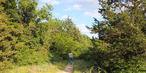 Forest Bathing at Oak Cliff Nature Preserve