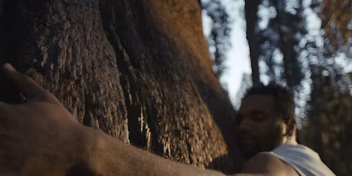 Films.Dance Screening