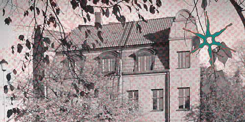 40 \u00e5r med Ungdomens Hus, 40 \u00e5r av kamp!