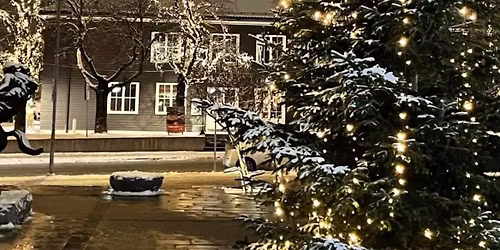 Julegrantenning i L\u00f8renparken