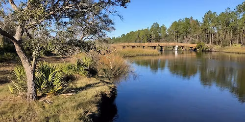 Cedar Point Preserve - Black Hammock Island Trailhead Hike