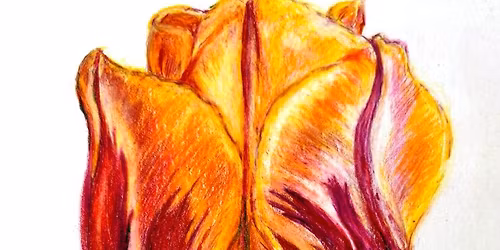 Nature Drawing with Artist\/Instructor Joanne Murrman, BFA, M.Ed.