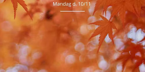 Mortens Aften\ud83e\udd86