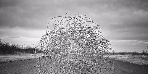 Tumbleweed Vintage Market