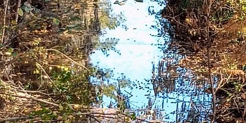 Nature Explorers Camp