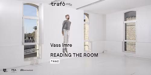 Vass Imre: READING THE ROOM