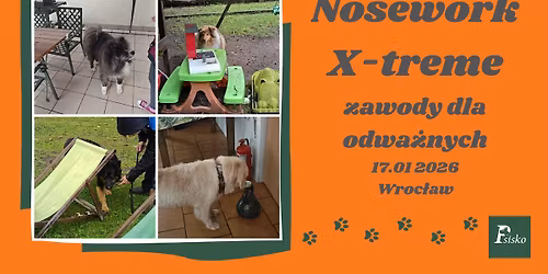 Zawody nosework X-treme