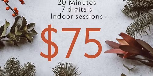 Christmas minis \ud83c\udf84