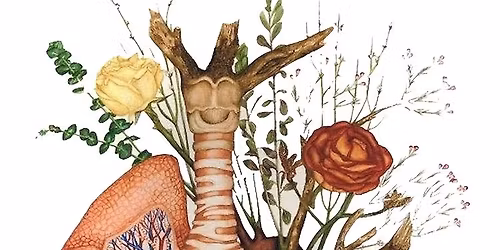 Level 3 Anatomy and Physiology Classroom