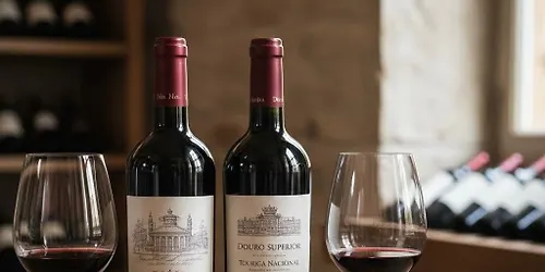 The Iberian Powerhouse Journey Through the Secret Reds of Spain & Portugal