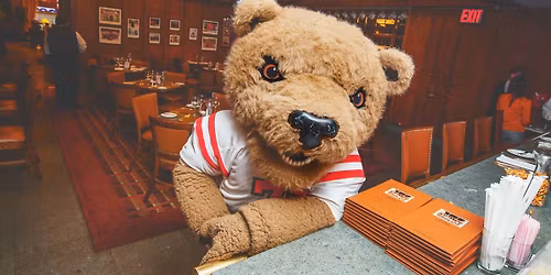 Brown Bears at Cornell Big Red Mens Hockey at Lynah Rink