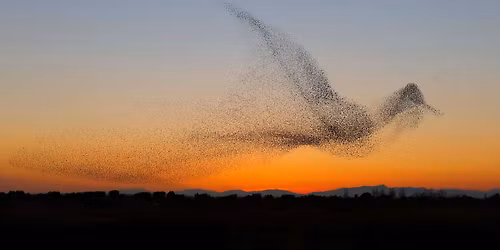 Ecstatic Dance at the Unitarian Universalist Church