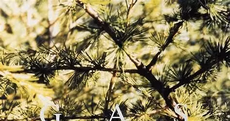 GAS 'Pop': Albumlytt m\/Tore "Ost" Gjedrem