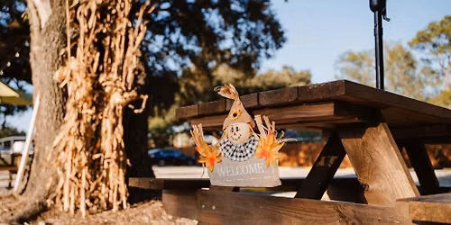 PARC DE OAKS PUMPKIN PATCH (WEEKEND TWO)