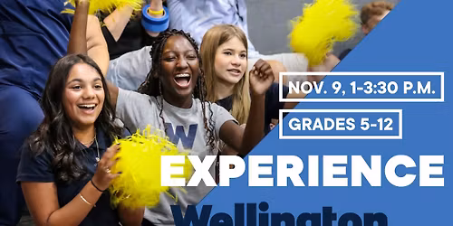 Experience Wellington