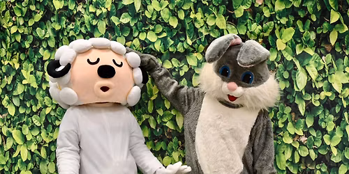 Carousel of Fun Spring Fling