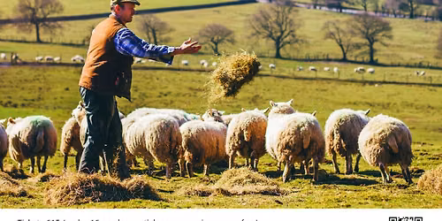A Shepherd's Year 