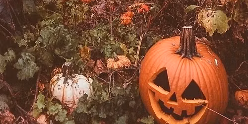 Halloween Weekend 