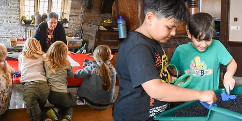 Festival of Archaeology at Bolling Hall