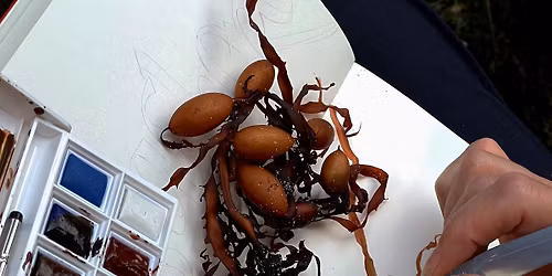 ANJA Nature Journalling Weekend 2026