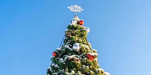 Tree Lighting Celebration - Tanger Commerce