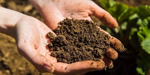 Seed Raising Mix Workshop