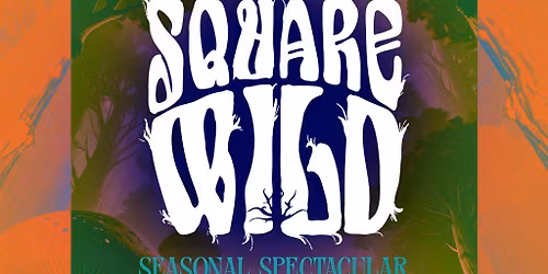 The Square Wild Seasonal Spectacular