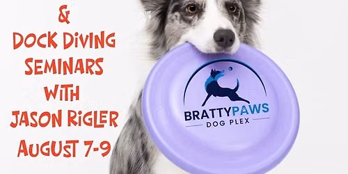 Bratty Paws Updog Challenge