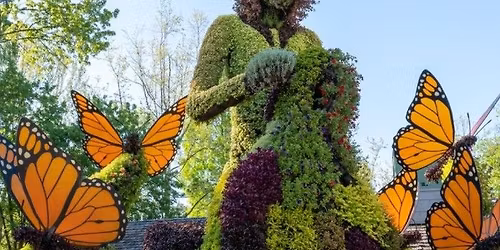 Dollywood's Flower & Food Festival Opening Day