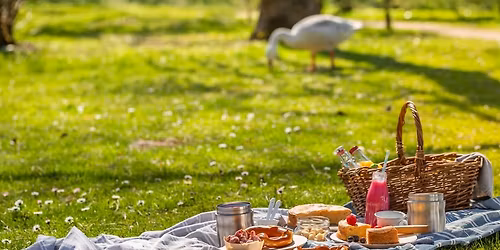 Cinca - parti piknik