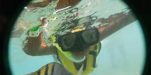 Carnival Radiance - \ud83c\udf34\u2600\ufe0f Educator Edition!!!