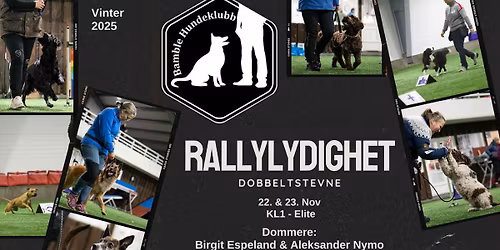 Dobbelt rallylydighetsstevne i GO Hallen