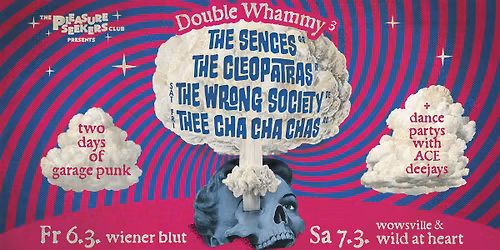 DOUBLE WHAMMY THE SENCES - THE CLEOPATRAS - THE WRONG SOCIETY - THEE CHA CHA CHAS