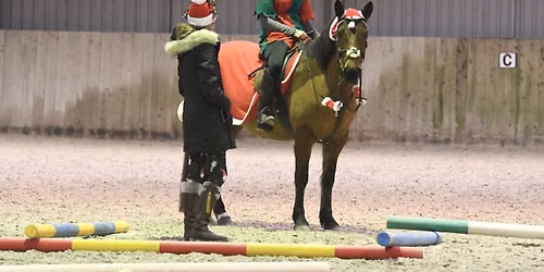Sc Equestrian Braishfield Manor poles & jumps Christmas \ud83c\udf84