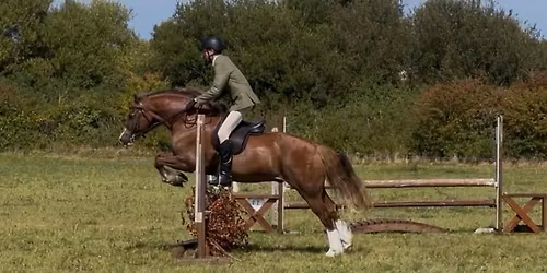 Prospect Show 6th September - Fifth Show of 2026