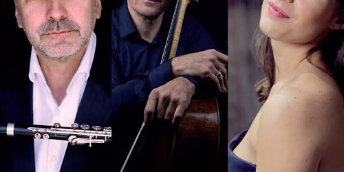 Concerto pour fl\u00fbte et harpe