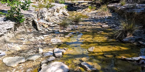 Jurassic Hike Adventure - Dinosaur Valley State Park (Day hike, Swimming)