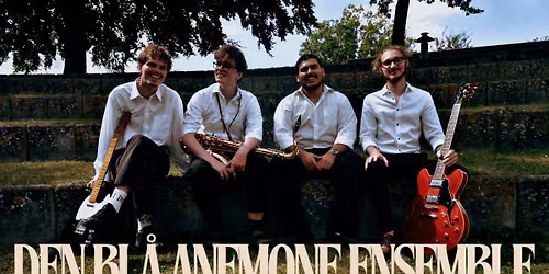 Sommerjazz og grill: Den Bl\u00e5 Anemone Ensemble