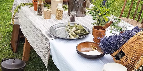 Talks in the Tavern: Plant Medicines Used in the Revolutionary War